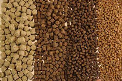 New Poultry & Cattle Feed Projects in India- 2020